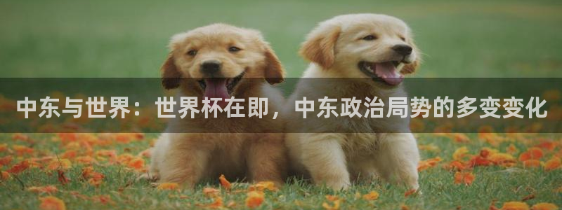 世界杯直播网站：中东与世界：世界杯在即，中东政治局势的多变变化