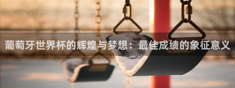 2026世界杯德国队阵容：葡萄牙世界杯的辉煌与梦想：最佳成绩的象征意义