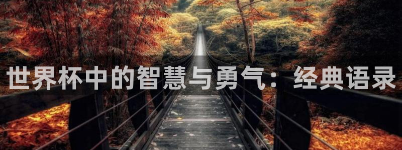 世界杯亚洲预选赛18强赛程：世界杯中的智慧与勇气：经典语录