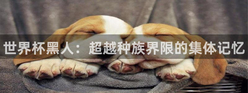中国 世界杯：世界杯黑人：超越种族界限的集体记忆