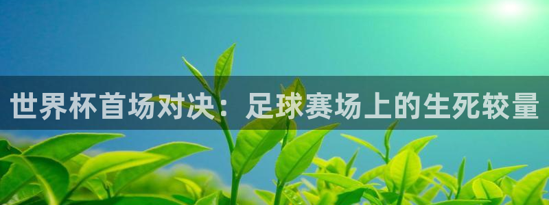 2026世界杯直播免费观看：世界杯首场对决：足球赛场上的生死较量
