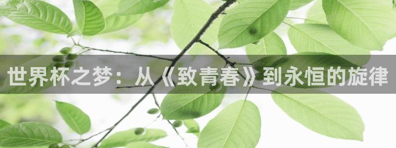亚洲杯足球：世界杯之梦：从《致青春》到永恒的旋律