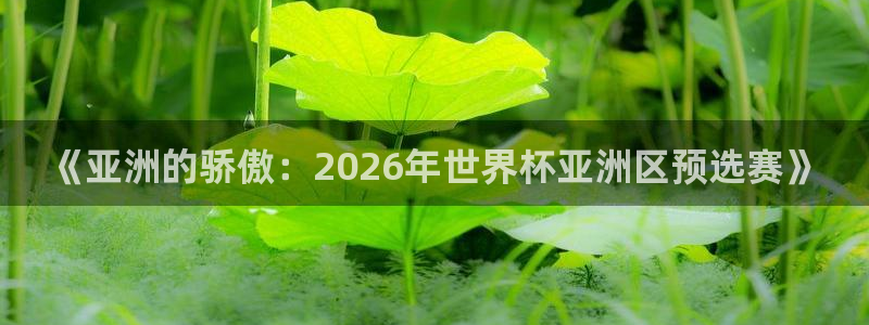 足球世预赛：《亚洲的骄傲：2026年世界杯亚洲区预选赛》