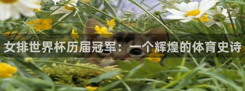 世界杯直播在线观看入口：女排世界杯历届冠军：一个辉煌的体育史诗