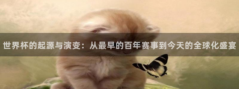 2026世界杯预选赛：世界杯的起源与演变：从最早的百年赛事到今天的全球化盛宴