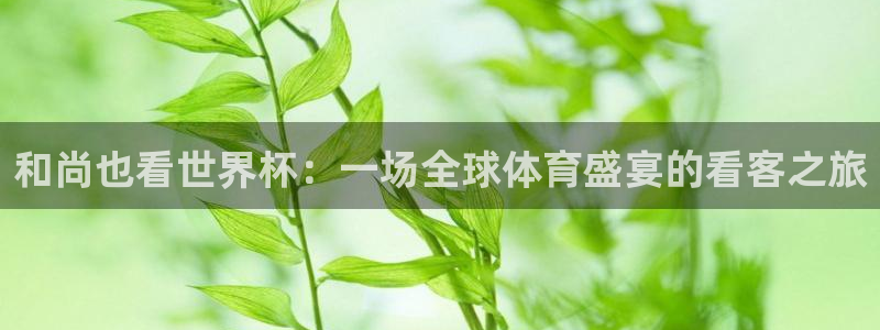 2026世界杯对阵图：和尚也看世界杯：一场全球体育盛宴的看客之旅