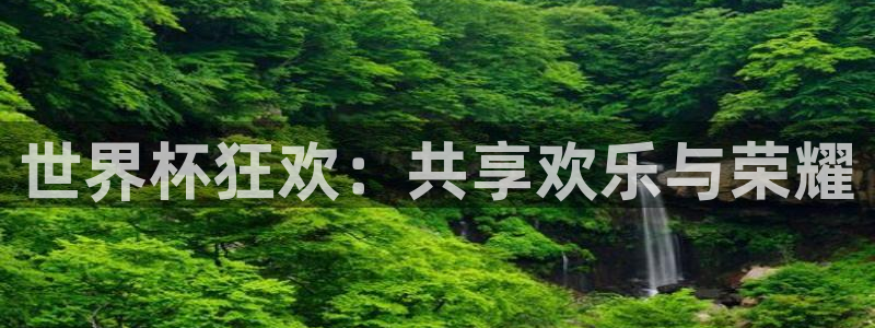 世界杯：世界杯狂欢：共享欢乐与荣耀
