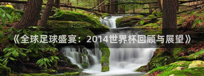 世界杯足球赛2026：《全球足球盛宴：2014世界杯回顾与展望》