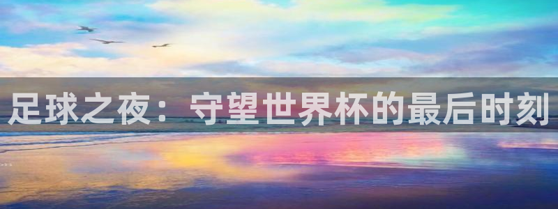 2026年世界杯对阵图：足球之夜：守望世界杯的最后时刻