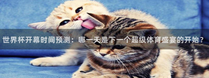 世界杯 直播：世界杯开幕时间预测：哪一天是下一个超级体育盛宴的开始？
